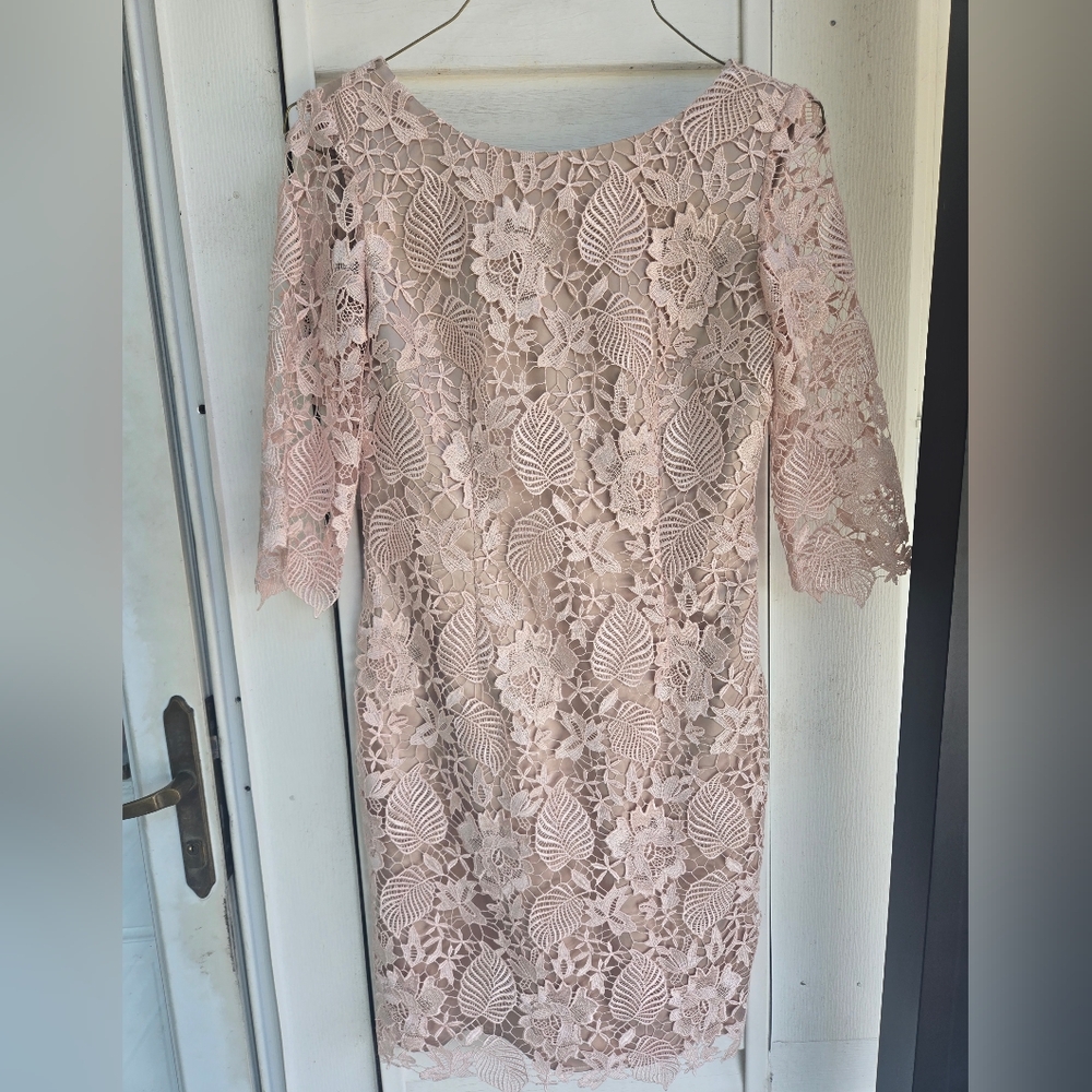 Eliza J Blush Lace Long Sleeve Dress